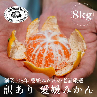 
            ＜創業108年＞愛媛みかんの老舗＜訳あり みかん8kg＞新口農園＜C70-55＞【1549450】
          
