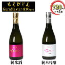 【ふるさと納税】清酒ちえびじんセット（純米酒・純米吟醸山田錦 720ml各1本）【中野酒造】 日本酒 飲み比べ 人気 ギフト 贈答 ＜110-006_6＞