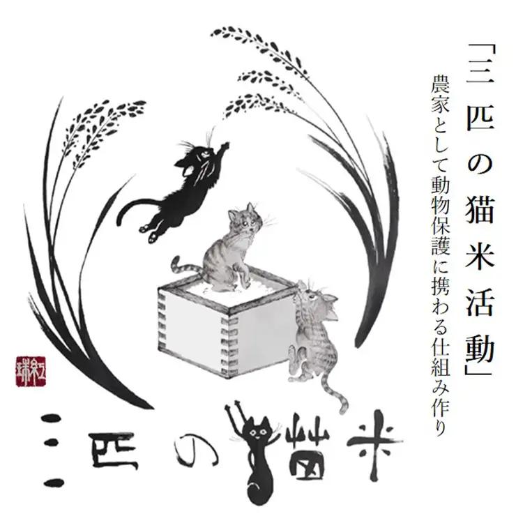 三匹の猫米/動物保護に携われる/特別栽培米 2kg×2
