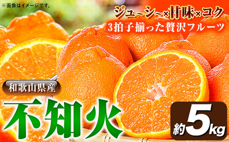 【先行予約】紀州有田産不知火( デコポン と同品種 )  約 5kg  株式会社魚鶴《2026年2月中旬-3月中旬頃出荷》|しらぬいしらぬいしらぬいデコポンデコポン
