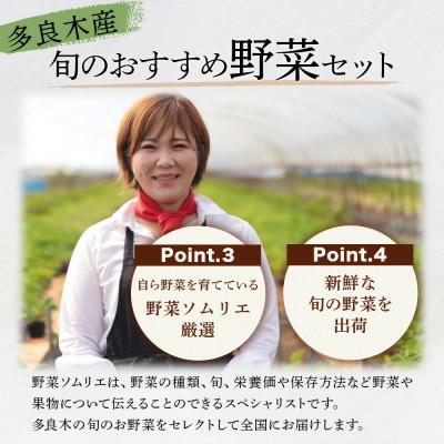 ふるさと納税 多良木町 【毎月定期便】野菜ソムリエ監修 旬のおすすめ野菜セット 4〜6品(1〜2名様向け)全12回 |  | 02
