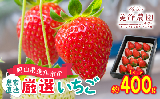 岡山県美作市産　厳選1品種いちご(約400g)【配送不可地域：離島・北海道・沖縄県】