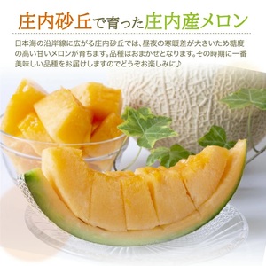 SC0677　特選 庄内産 赤肉・青肉メロンミックス　約8kg(大玉 5～6玉入) 品種おまかせ