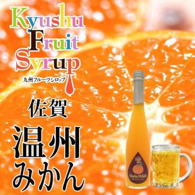ふるさと納税 水俣市 九州を飲む! 九州果実 シロップ 温州みかん 500ml 1本 【福田農場】