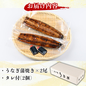 うなぎ 蒲焼き 2尾 タレ付き 無頭【尾方屋】_y135