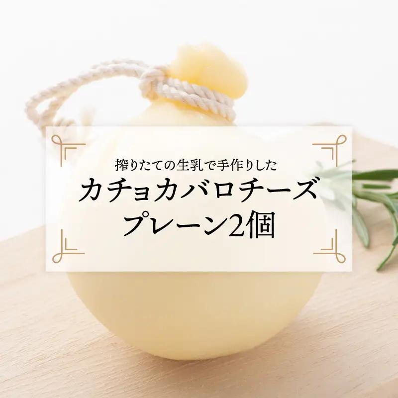 カチョカバロチーズ 2個詰め合わせ (プレーン) チーズ 発酵食品 熟成 [A-11904]