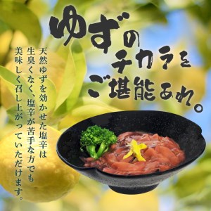 ＜ゆず食品＞ゆず入りイカ塩辛　1kg 塩辛