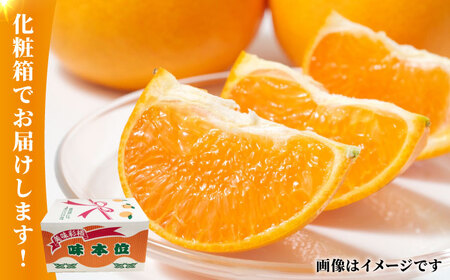 熊本 みかん 約 5kg 化粧箱入り 【かきやま果実】ミカン 柑橘 熊本みかん 九州 国産 果物 フルーツ [ZCJ004]