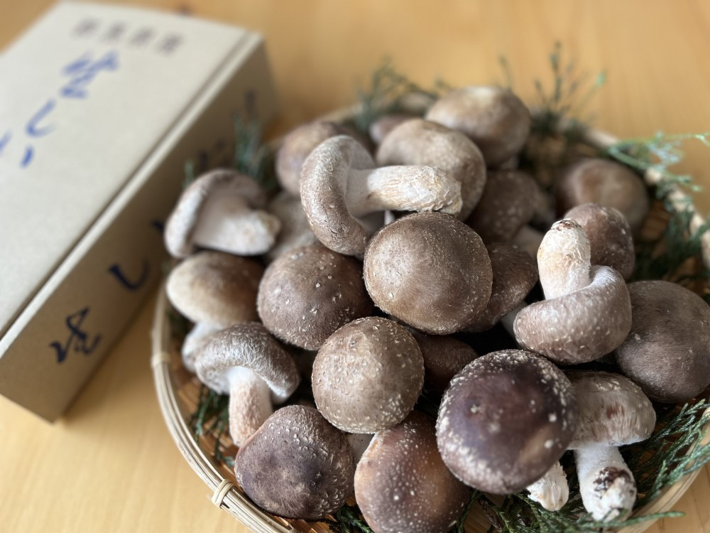 
            高山村産　生椎茸　750g
          