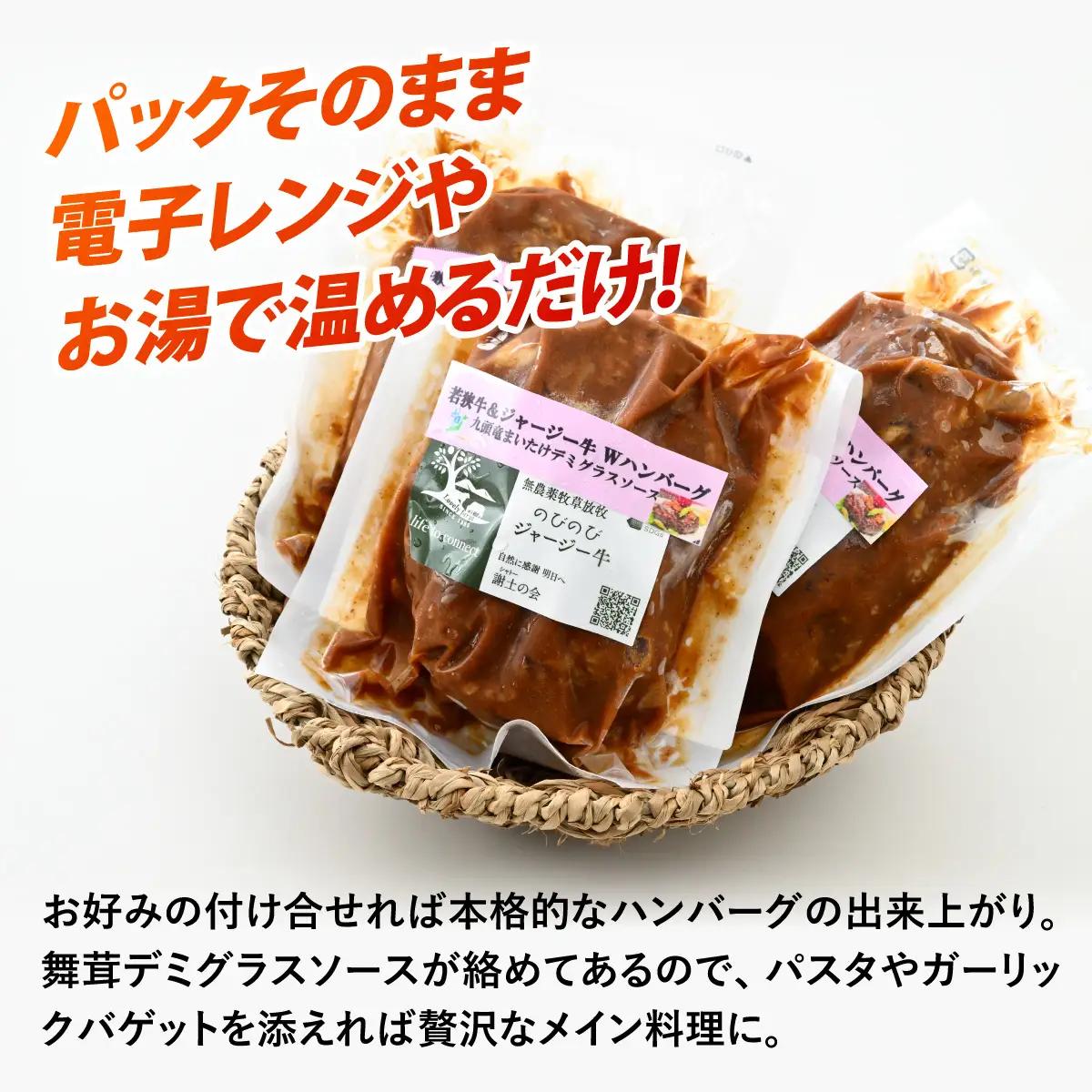 ハンバーグ 若狭牛＆ジャージー牛 225g×3パック [A-054005]