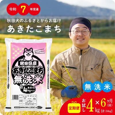 ふるさと納税 大館市 【定期便6ヶ月】令和7年産秋田県産あきたこまち(無洗米)4kg