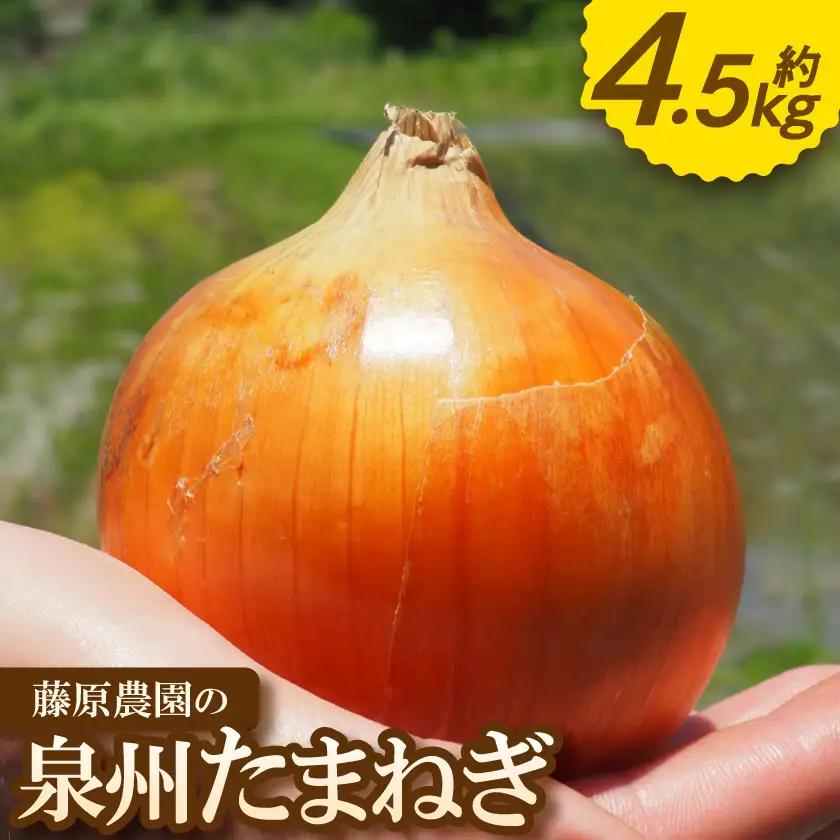 《約4.5kg》藤原農園の泉州たまねぎ　なにわの伝統野菜　サイズ混合【1733145】