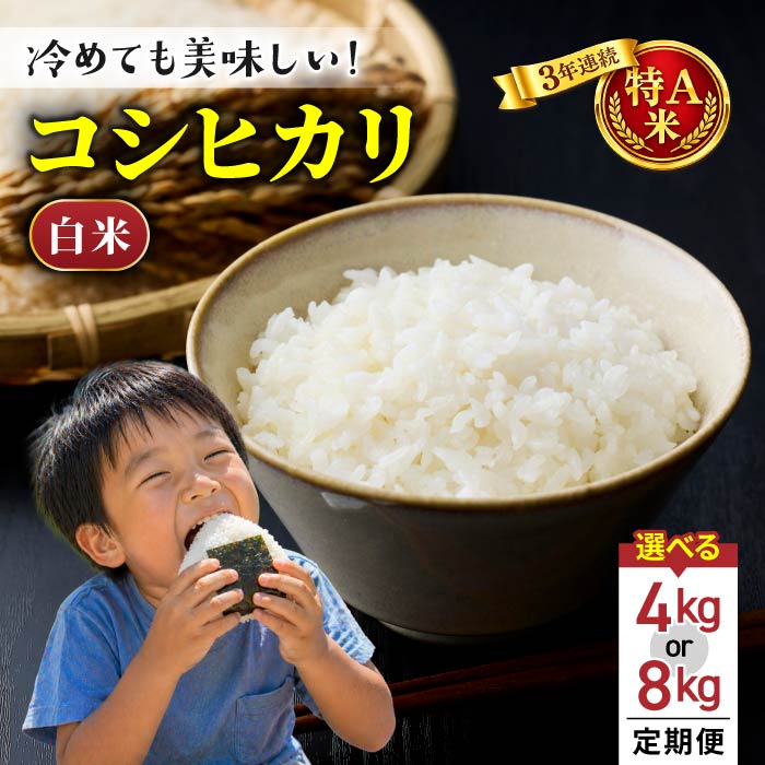 【ふるさと納税】R8年産新米！白米 特A米【冷めても美味しいコシヒカリ】｜最短3日〜7日程度で発送※着日指定不可【小田農園】