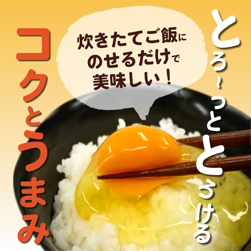 かぐやひめ「初たまご」100個 【福岡上毛町産】　C00901