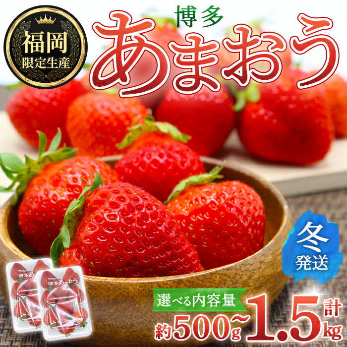 【ふるさと納税】＜容量を選べる・先行予約受付中！2025年12月上旬～2026年1月下旬に順次発送予定＞ 博多あまおう・冬 (計約500g ～1.5kg) いちご 苺 フルーツ 果物 くだもの 福岡限定 家庭用 冷蔵＜離島配送不可＞【ksg1736・ksg1737・ksg1738】【農産物直売所ほたるの里】