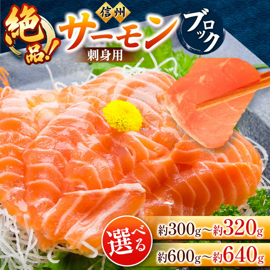【ふるさと納税】超希少 国産 信州 サーモン ブロック 刺身用 300g ～ 320g または 600g ～ 640g | 魚 魚貝類 サーモン 信州サーモン 切り身 刺身 鮭 シャケ 海鮮 新鮮 鮮魚 お祝い 贅沢 豪華 おつまみ バーベキュー BBQ アウトドア 高評価 長野県産 長野県 南信州 天龍村