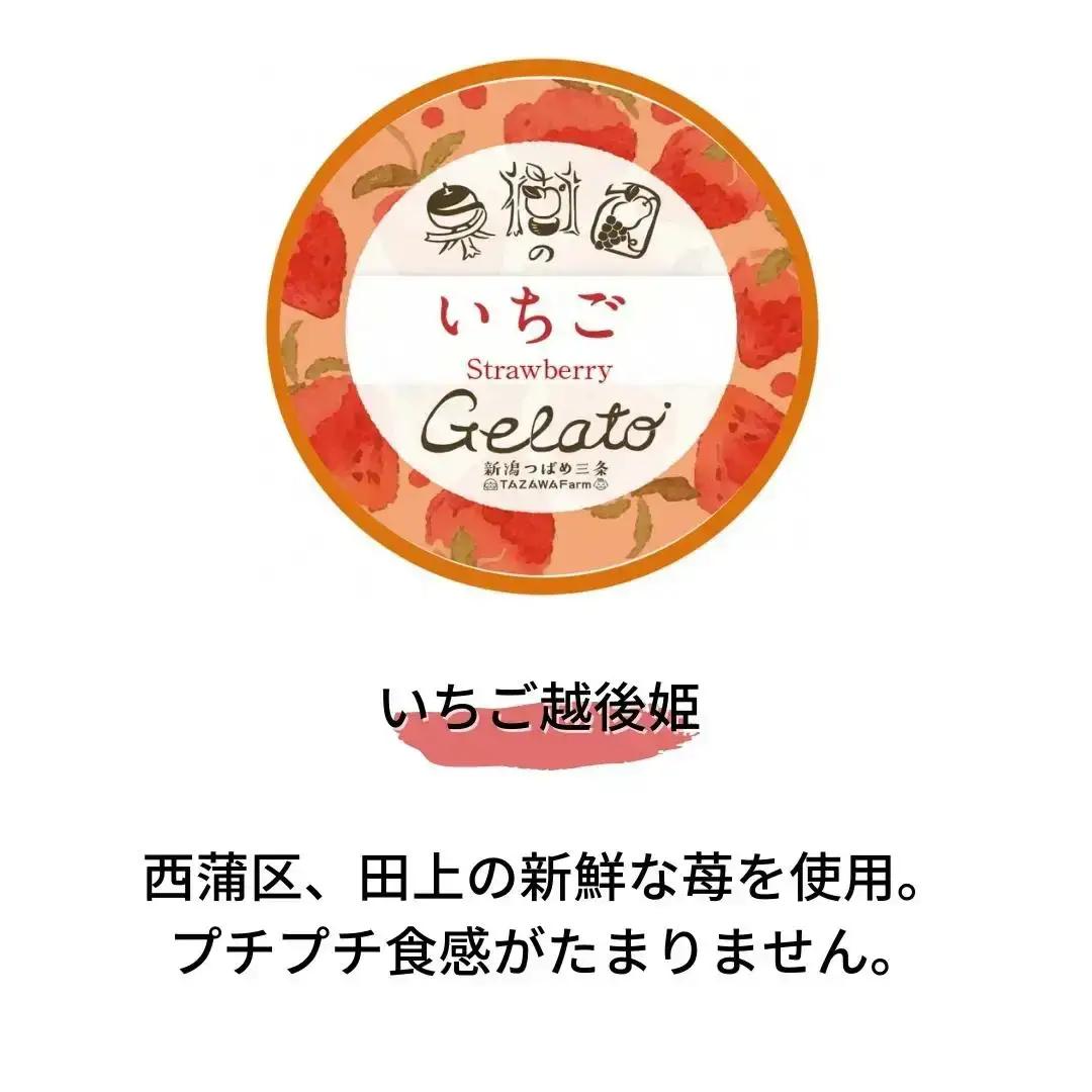 [季節限定] 果樹園のジェラートセレクト [いちご12個セット] ストロベリー ジェラート詰合せ アイス詰合せ ジェラートセット アイスセット 濃厚ジェラート  [田沢農園] 【019S044】
