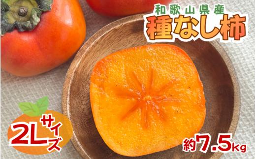採れたてタネなし柿“2L”サイズ 約7.5kg【2026年10月中旬～10月下旬頃発送予定】【ART18】