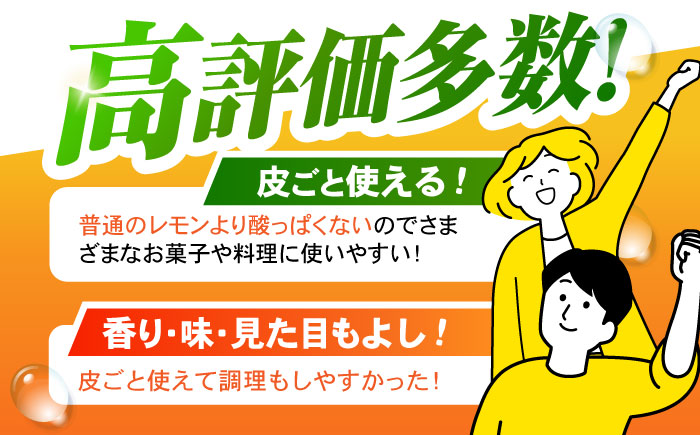 ※【2025年11月発送分／先行予約】マイヤーレモン 5kg / レモン れもん 檸檬 フルーツ / 諫早市 / 山野果樹園 [AHCF004]