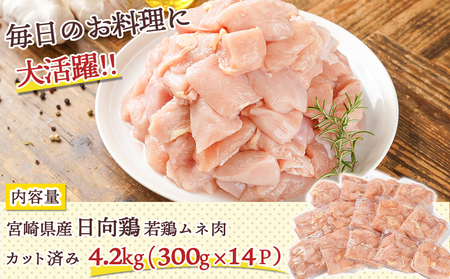 日向鶏 若鶏ムネ肉カット済4.2kg_MJ-1562_(都城市) ムネ肉 4.2kg 宮崎県産 日向鶏若鶏 大容量 冷凍 唐揚げ チキン南蛮