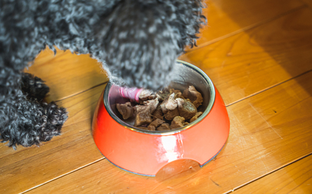 【犬用】ボイル鹿肉 100g × ３袋セット｜ペット フード ウェット ソフト シニア ドッグ 餌 ジビエ シカ 小分け ふるさと納税 YZ-2