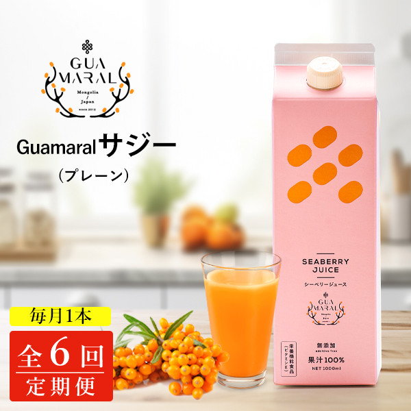 
【定期便】 サジージュース 100% 1000ml×毎月1本 6ヶ月コース | サジー シーベリー 沙棘 グアマラル 健康ドリンク 健康 美容 栄養 果汁 鉄分補給 栄養補給 健康食品 ギフト 贈答 プレゼント ご褒美 お祝 記念品 _DX11
