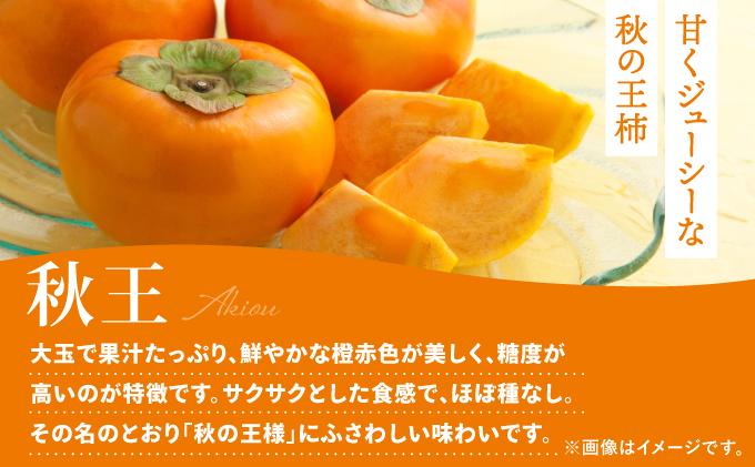 福岡より直送！種がほとんどない新ブランド 柿 秋王 3玉（2026年10月以降発送）| 甘柿 太秋柿 富有柿フルーツ くだもの 果物 送料無料 福岡県 那珂川市