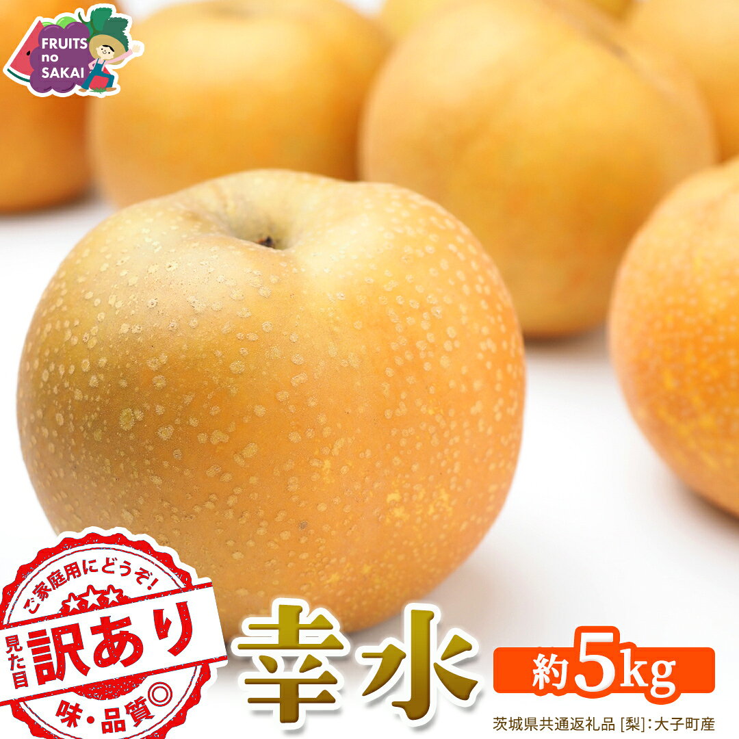 【ふるさと納税】 ＜ 訳あり ＞ 幸水 約5kg 【2026年8月より発送開始】（茨城県共通返礼品 [梨]：大子町産） ご家庭用 フルーツ なし ナシ 和梨 梨 わけあり 果実 旬のフルーツ お取り寄せ くだもの 果物 みずみずしい