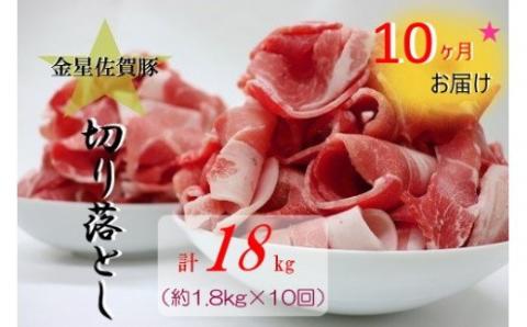 TA-3【10ヶ月定期便】金星佐賀豚 切り落とし(300g×6パック)10回お届け