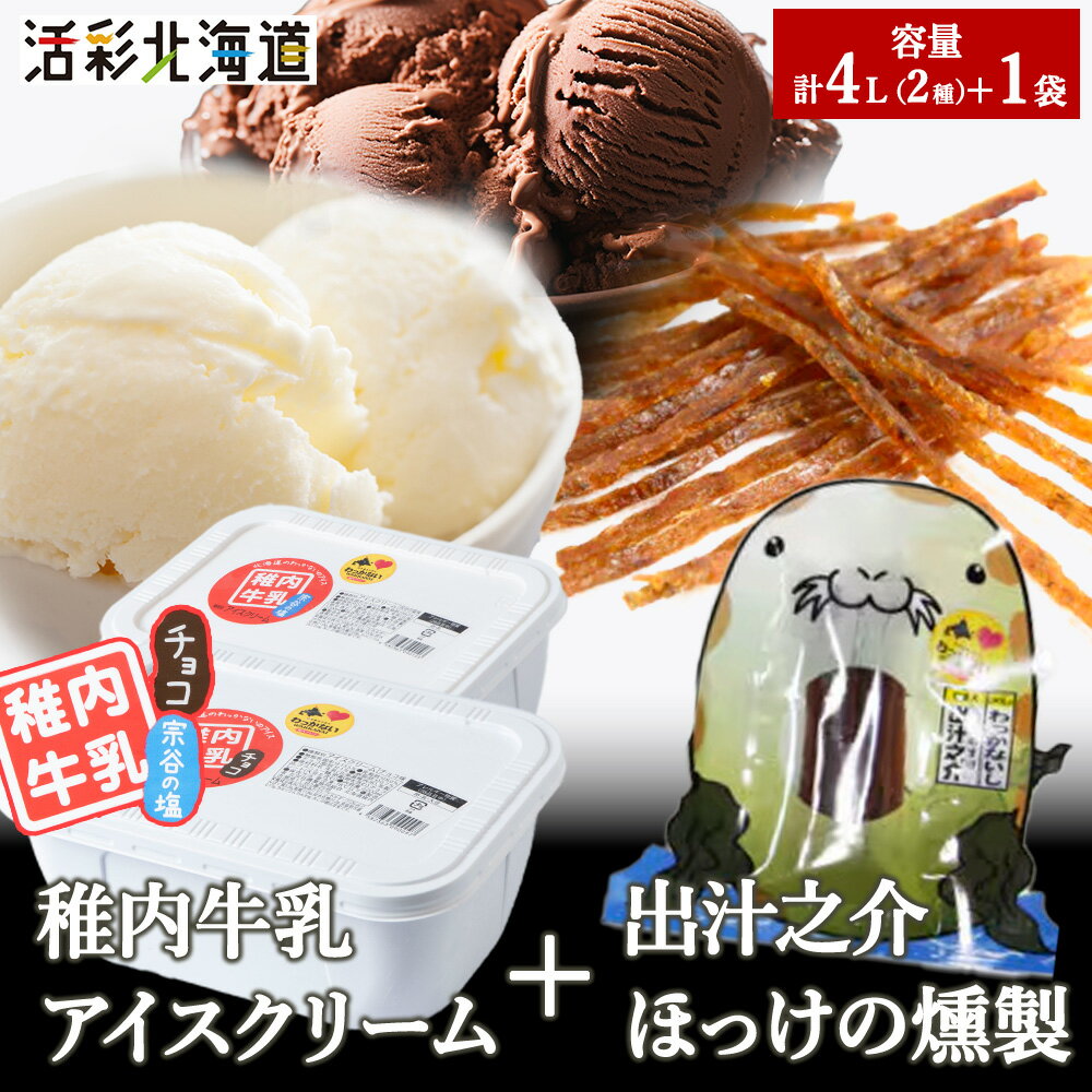 【ふるさと納税】【 業務用 】 稚内牛乳 アイスクリーム 2L×2個 ( 宗谷の塩 & チョコレート ) と 珍味アイス アイスクリーム スイーツ デザート 氷菓 牛乳 北海道ふるさと納税 稚内 ふるさと納税 北海道 【配送不可地域：離島・沖縄県】