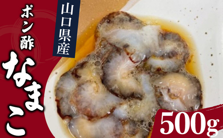 なまこ 500g 冷凍 山口県産ポン酢なまこ JD001-x
