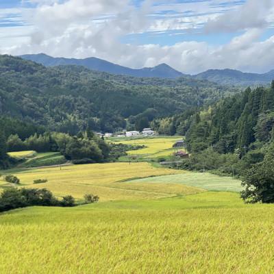 ふるさと納税 松江市 令和7年産 プレミアム仁多米(こしひかり)なおらい米 真空パック 2kg×2袋(合計4kg)松江市 |  | 03