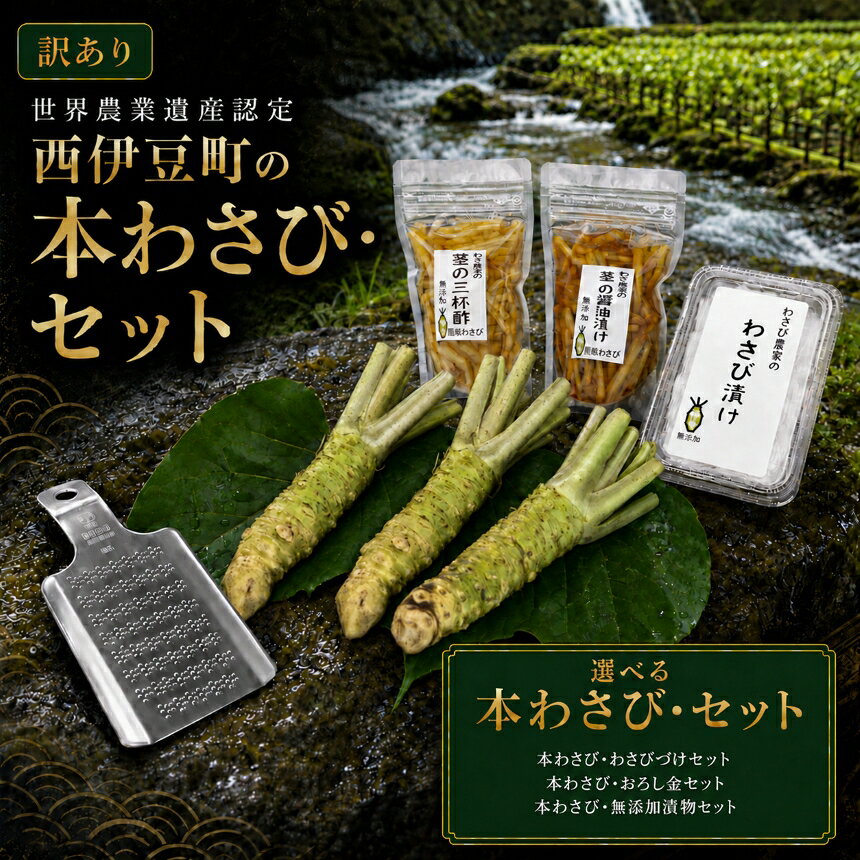 【ふるさと納税】 わさび 生わさび 本わさび おろし金 身 そば わさび丼 薬味 伊豆 西伊豆 【世界農業遺産認定】西伊豆町の本わさび・おろし金セット 本わさび・わさびづけセット 本わさび・無添加漬物セット【12月・1月受付限定】