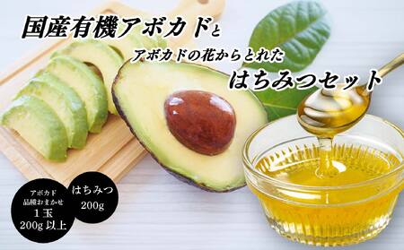 国産有機アボカドとアボカド蜜入り蜂蜜セット アボカドの花からとれた はちみつ 愛媛県 アボカド 松山市 あぼかど 国産 アボカド 和ボカド 国産 はちみつ サラダ アボカド 料理 アボカド 健康 アボカド 森のバター 【AR004】