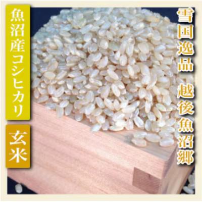 ふるさと納税 魚沼市 【令和8年産　先行受付】【雪国逸品　玄米2kg】越後魚沼郷　魚沼産コシヒカリ |  | 01