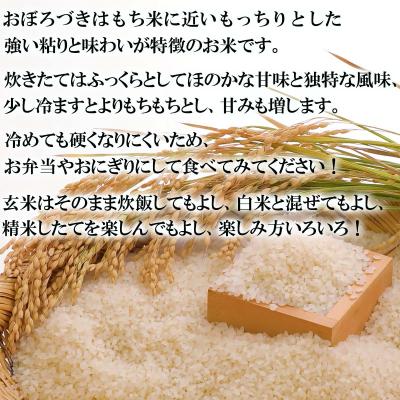 ふるさと納税 新ひだか町 <10月中旬から順次発送> 新米 令和7年度産 北海道米 おぼろづき 玄米 10kg (5kg×2) |  | 01
