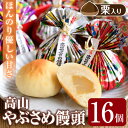 【ふるさと納税】高山やぶさめ饅頭(16個) 鹿児島 国産 栗饅頭 くりまんじゅう 栗まんじゅう 饅頭 まんじゅう 黄身餡 お取り寄せ ギフト 贈答 【二川菓子店】