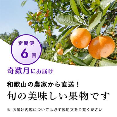 ふるさと納税 日高町 【発送月固定定期便】フルーツ定期便B【フルーツ定期便】【和歌山県有田】全6回 |  | 01