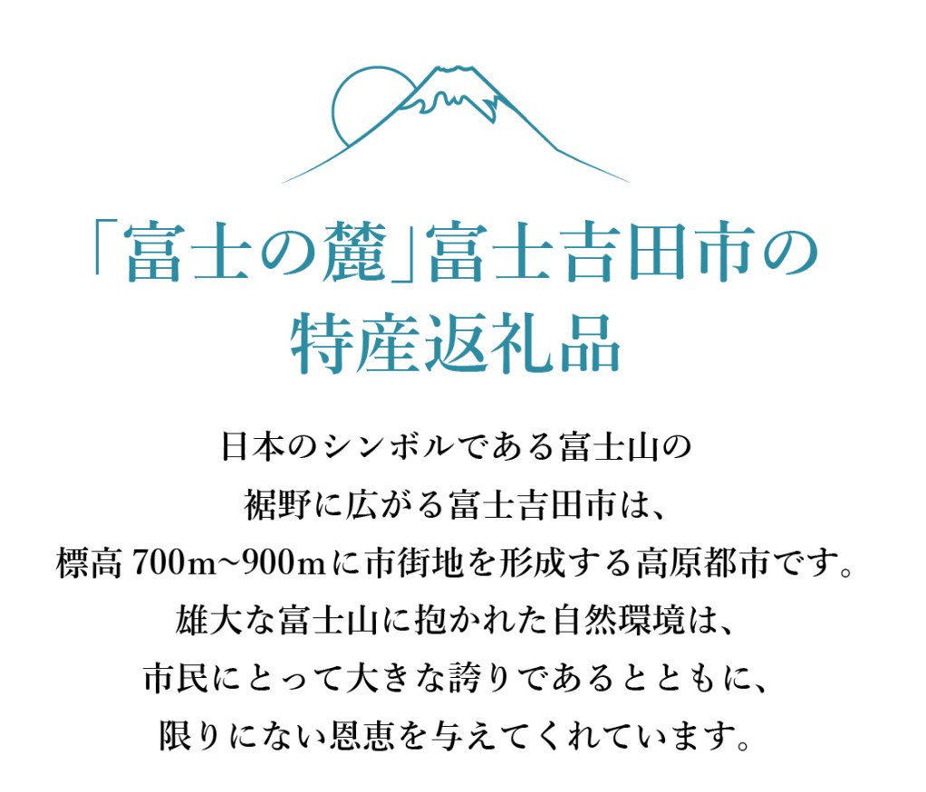 【ハンドメイドアクセサリー】秋 富士山ペンダント