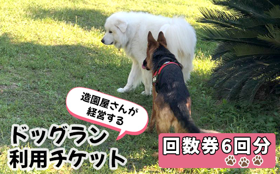 
No.183 ドッグラン利用チケット　回数券6回分 ／ 愛犬 ペット 運動 カフェ 山口県
