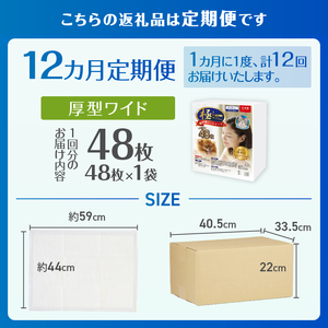 定期便 12回 ペットシーツ 【極】シリーズ 厚型ワイド 48枚 ペット用 犬用 猫用 トイレシーツ 日用品 ペット用品 防災 備蓄 消耗品 ドッグ キャット わんちゃん ねこちゃん 静岡県 富士市 