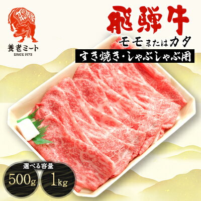 【ふるさと納税】飛騨牛モモもしくはカタ (すき焼き・しゃぶしゃぶ用)　1kg/500g_ 肉 お肉 牛肉 ブランド牛 和牛 飛騨牛 牛モモ肉 牛肩肉 赤身 しゃぶしゃぶ すき焼き 包装 岐阜県 養老町 冷凍 送料無料 贈答 ギフト 【配送不可地域：離島】【G1042663】