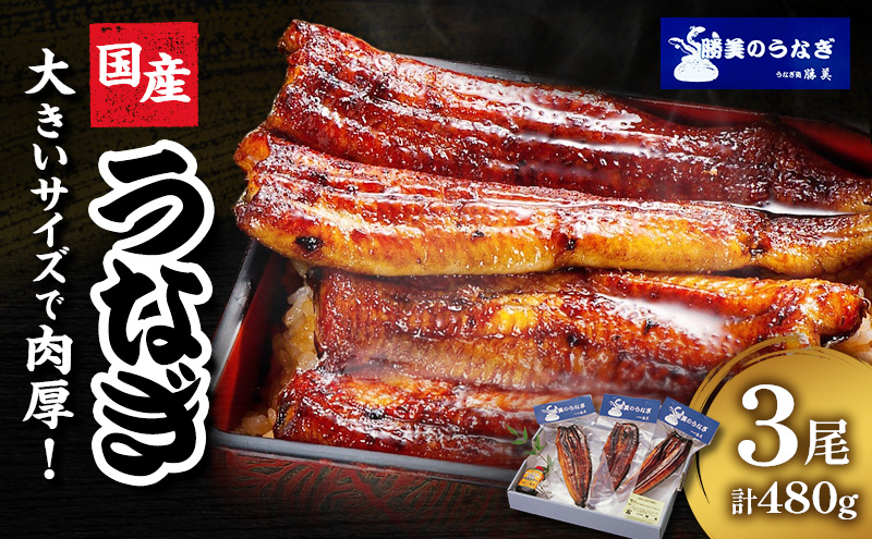 うなぎ 国産 蒲焼3尾セット(160g×3尾 タレ75ml×1・山椒付) 勝美 ギフト プレゼント お歳暮 誕生日 内祝