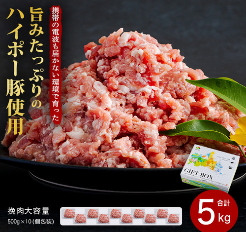 
            豚肉 阿武町産 豚挽肉 500g×10パック 小分けセット | 携帯の電波も届かない環境で育った旨みたっぷりのハイポー豚 ひき肉 挽肉 豚 肉 お肉 ※配送不可:離島
          