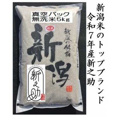 ふるさと納税 阿賀野市 【令和7年産】【真空パック】整粒率95%の1等米!! 阿賀野市産「新之助」無洗米 5kg 中島農場