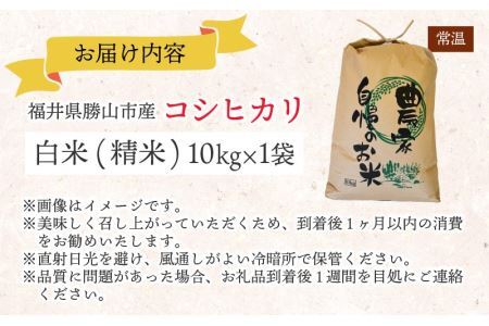 白山の恵み 令和７年度産 コシヒカリ（精米）10kg [B-009013]