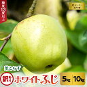 【ふるさと納税】 訳あり 葉とらず ホワイト ふじ りんご 約 5kg／約 10kg 《 内容量 と 配送時期 が選べる 》 11月 ／ 12月 青森 産 葉とらずりんご ホワイトふじ ワケアリ リンゴ 訳ありりんご ハトラズホワイト フルーツ 果物 青森県 五所川原市