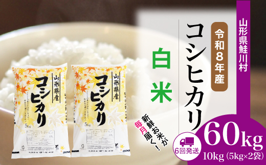 ＜令和8年産米＞ 鮭川村 コシヒカリ 【白米】 定期便 60kg （10kg×1ヶ月間隔で6回お届け）＜配送時期選べます＞