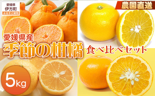 【栽培期間中農薬不使用】【先行受付】【農家厳選】木野本農園 季節の柑橘食べ比べセット 5kg （2025年11月頃より順次発送） 【 ふるさと納税 人気 おすすめ ランキング 柑橘 みかん ミカン 蜜柑 食べ比べ フルーツ 果物 産地直送 ギフト 贈り物 栽培期間中農薬不使用 木野本農園 愛媛県産 愛媛県 伊方町 送料無料 】 IKTG013