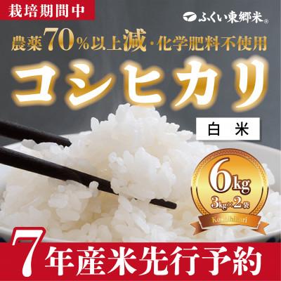 ふるさと納税 福井市 令和7年産 ふくい東郷米 特別栽培米 栽培期間中農薬70%減コシヒカリ 白米3kg×2袋【真空袋】